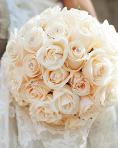 Weddings & Events